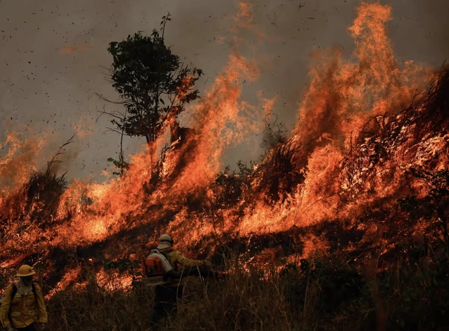 big banks quietly prepare for catastrophic warming