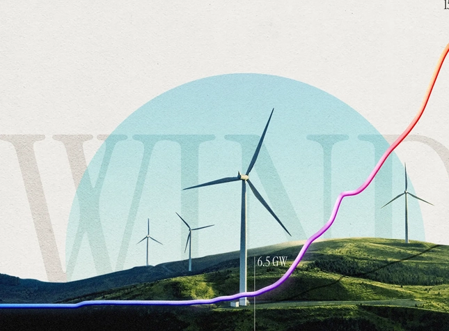 photo of sea kelp courtesy Paul Boniface @ BBC