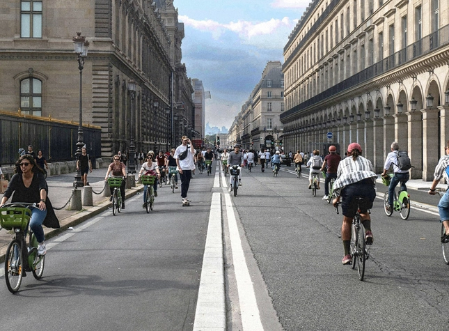 Basel’s authorities first made use of green rooftops in the 1990s.
Photograph: Ekaterina Pokrovsky/Shutterstock