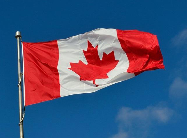 Basel’s authorities first made use of green rooftops in the 1990s.
Photograph: Ekaterina Pokrovsky/Shutterstock