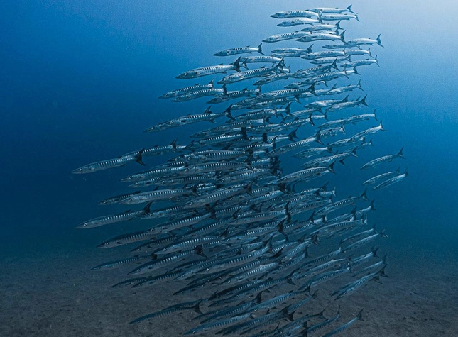 A vehicle abandoned in floodwaters on a highway after Hurricane Beryl swept through the area on July 08, 2024 in Houston, Texas.
Getty Images